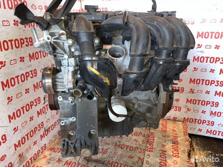 Двигатель Ford Focus 1.6 I shda 2008