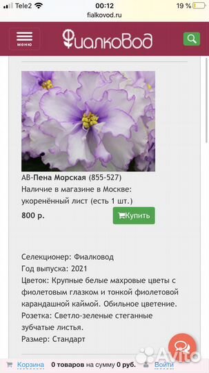 Фиалки 21,22 г