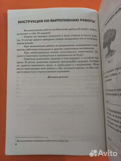 Биология ВПР 5 класс