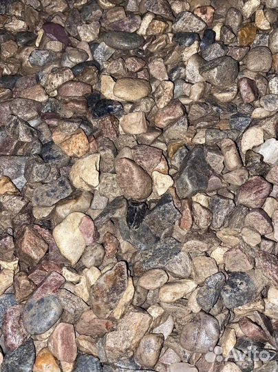 Щебень гравийный