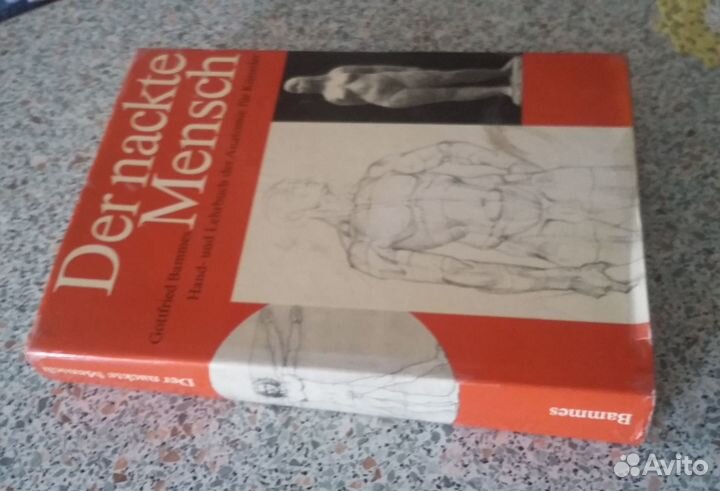 Пособие по анатомии для художников (редкое издан.)