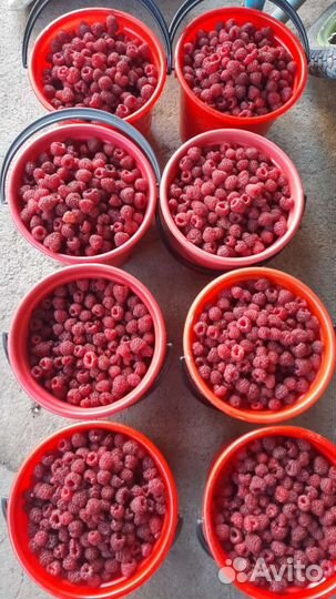 Ягоды малины