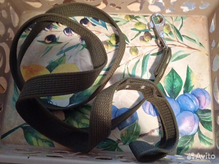 Поводок, шлейка для собак