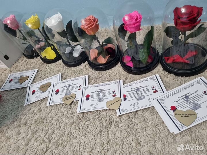 Роза в колбе