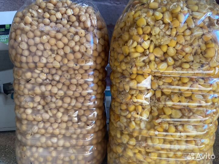 Рыболовная прикормка