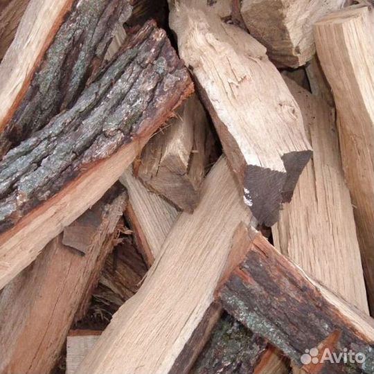 Дрова летней заготовки