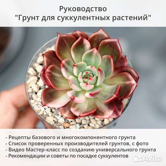 Руководство 