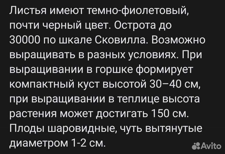 Комнатный жгучий перец