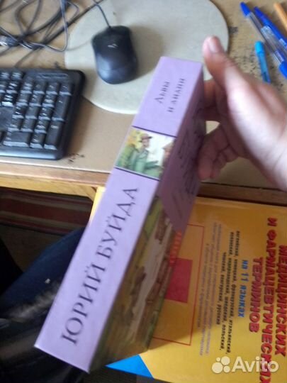 Буйда Львы и лилии