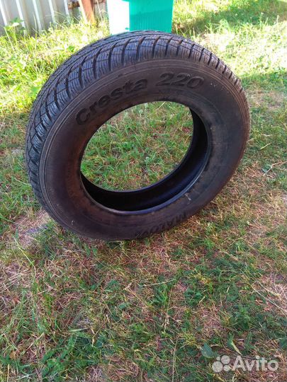 Accelera Accelera Summer 165/70 R14