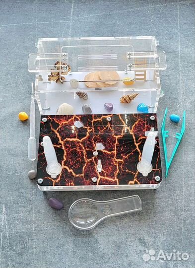 Муравьиная ферма Формикарий