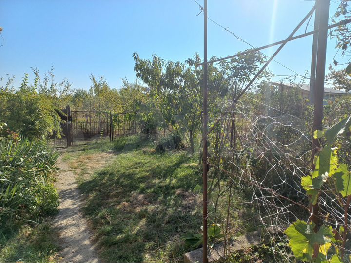 Дача 50 м² на участке 12 сот.