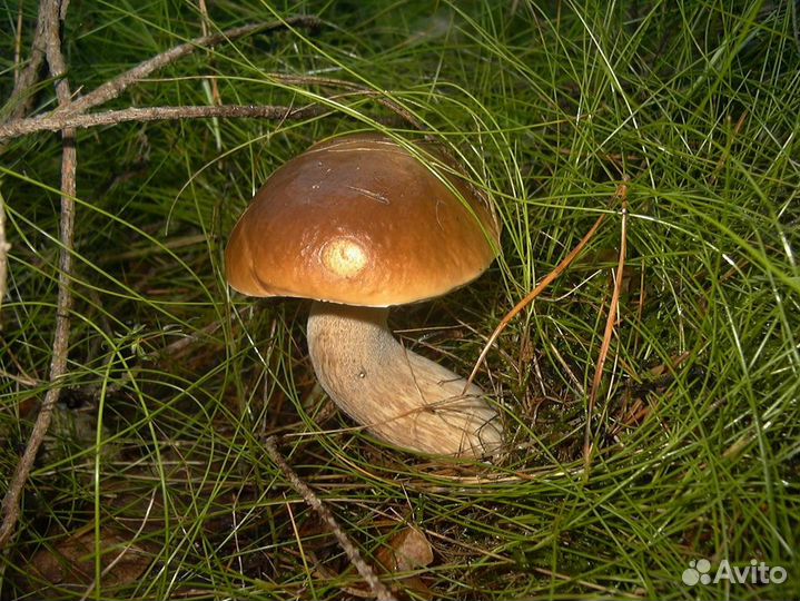 Математика.Эконометрика,др.Помощь в решении задач