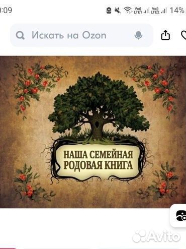 Родовая книга