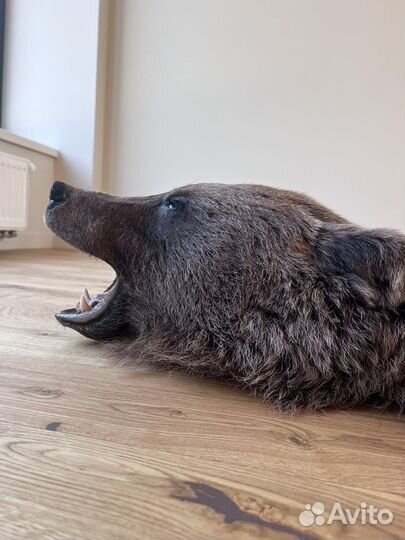 Шкура медведя имитация