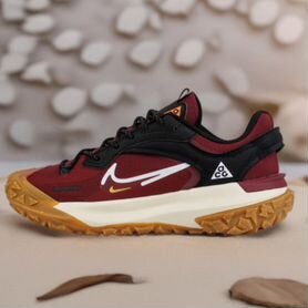 Кроссовки Nike ACG Mountain Fly 2 Low Gtx Red