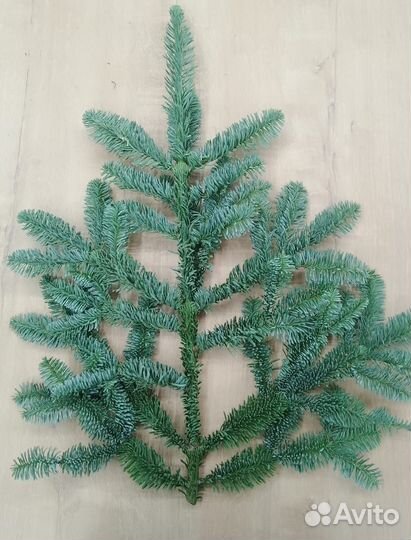 Ветки нобилиса