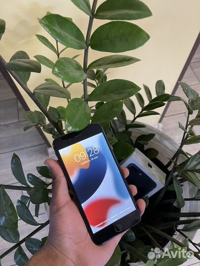 iPhone 7 Plus, 256 ГБ