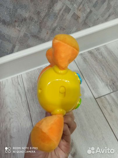 Музыкальный котёнок