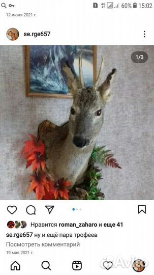 Чучела разные