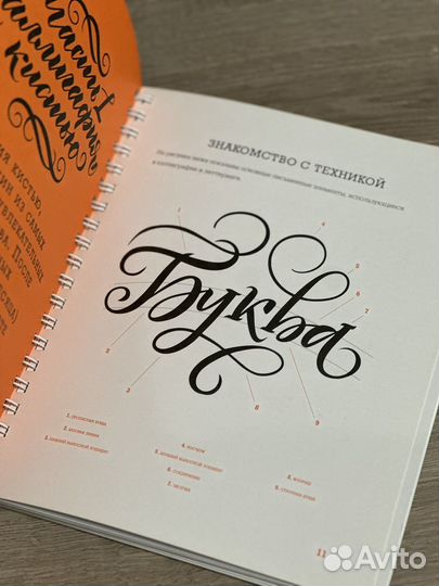 Основы каллиграфии и леттеринга Анна Рольская