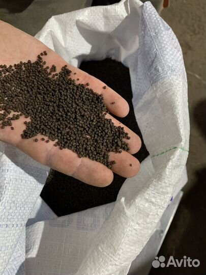 Корм для выращивания ценных пород рыб