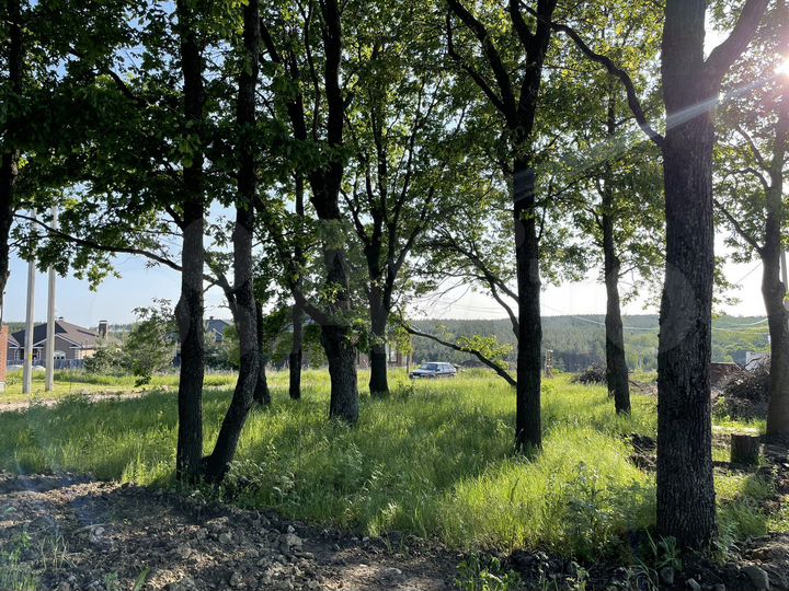 Участок 10 сот. (ИЖС)