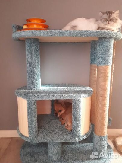 Домик для кошки, когтеточка. Дворец кошачий