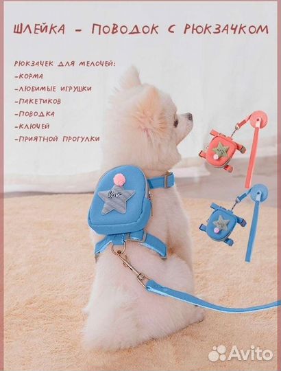 Шлейка для кошек и собак мелких пород