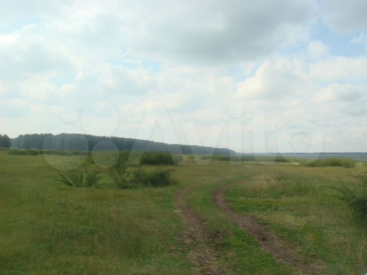 Участок 15 га (СНТ, ДНП)