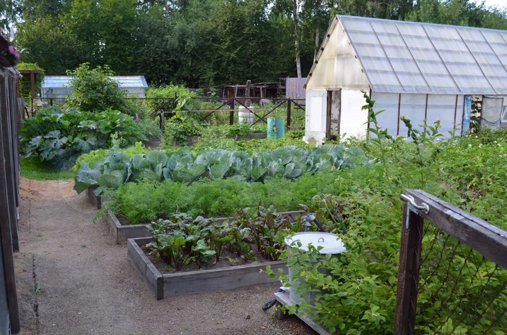 Дом 80 м² на участке 12,5 сот.