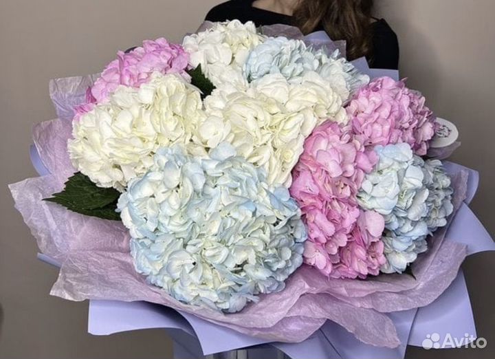 Гортензия цветы букеты