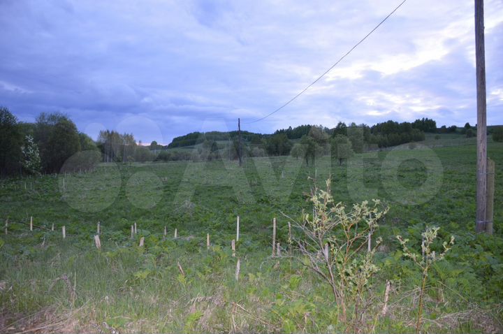 Участок 2,5 га (СНТ, ДНП)