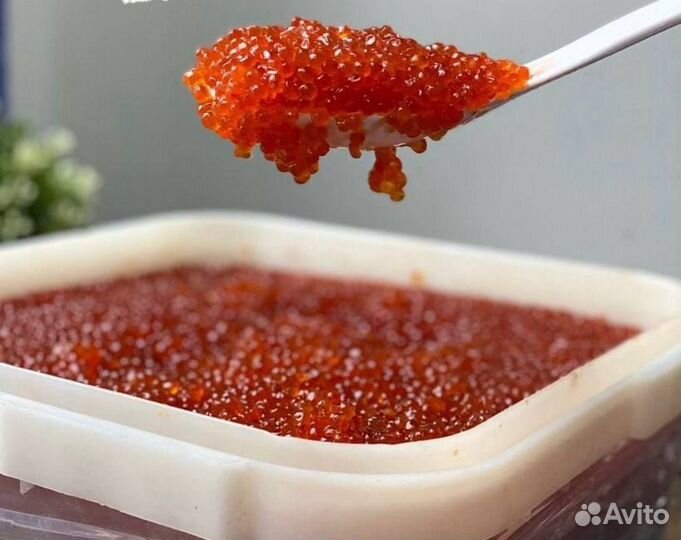 Икра Лососевая (Кеты) 0,5кг. Вылов 2023