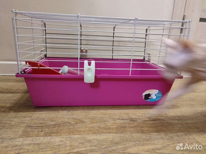 Клетка для грызунов