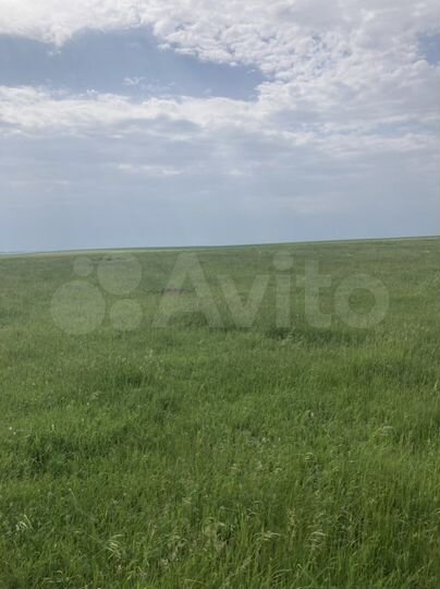 Участок 140 га (СНТ, ДНП)