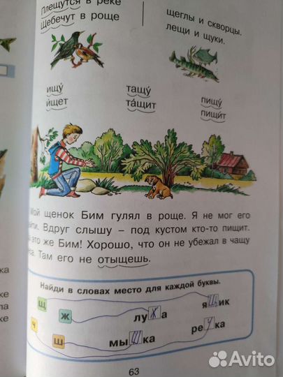 Букварь Н.Н.Павлова