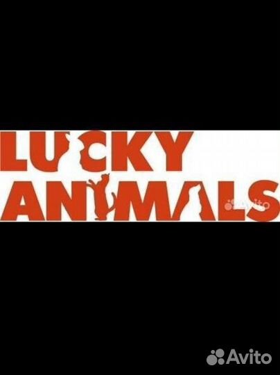 Рабочий на производство (Нарезка, раскладка)