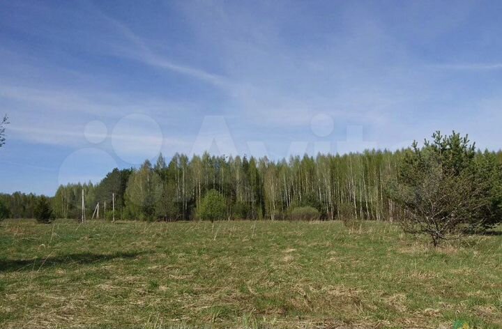 Участок 55 сот. (СНТ, ДНП)