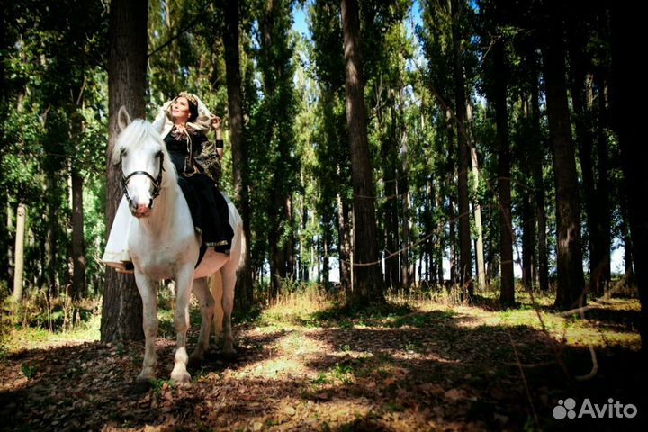 Прогулки на лошадях, аренда лошадей/пони