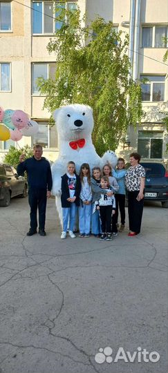 Белый мишка поздравление