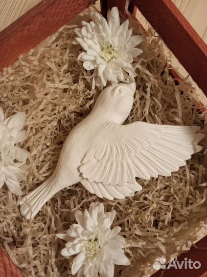 Пано на стену Полет птиц, парящие птицы