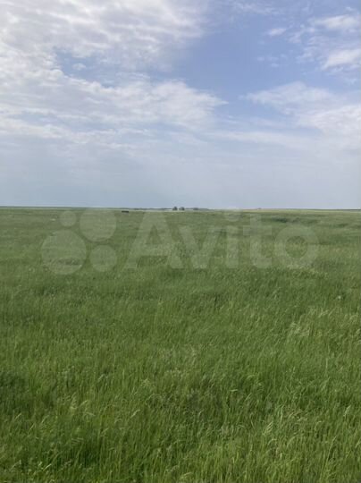 Участок 140 га (СНТ, ДНП)