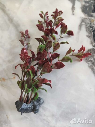 Аквариумные растения искусственные