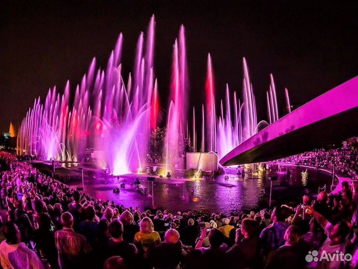 Экскурсия — Сочи — Олимпийский парк Сочи