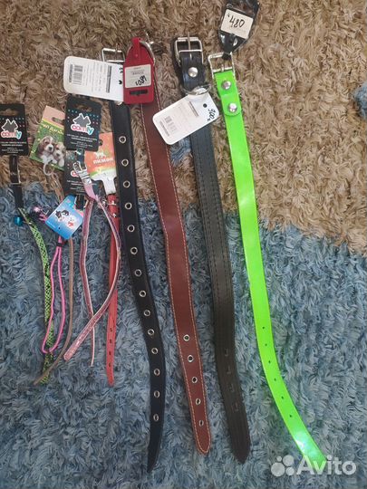 Ошейники для кошек и собак