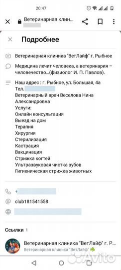 Котенок боб