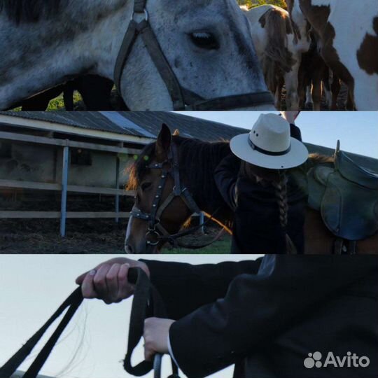 Режиссёр. Видеограф. Видеооператор. Монтажёр