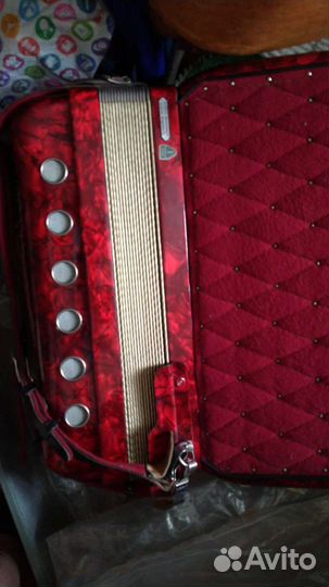 Аккордеон новый