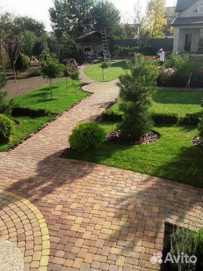 Газон под ключ